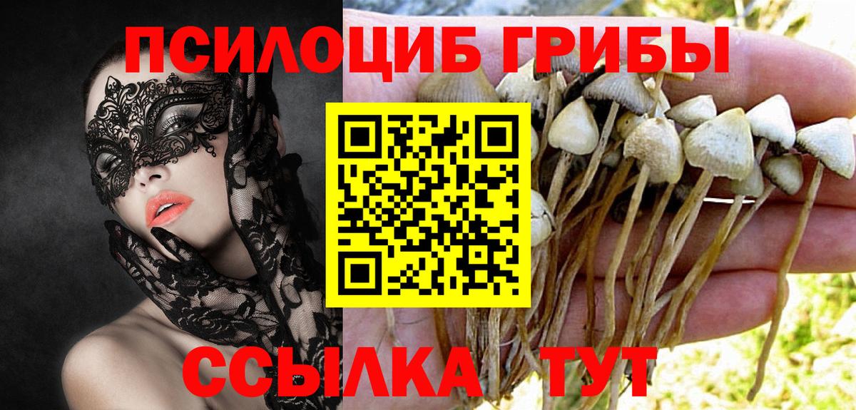  Кокаин Ульяновск